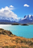 Parc National de Torres del Paine en Patagonie Chilienne. Un beau guanaco se promène au bord du lac Pehoe.