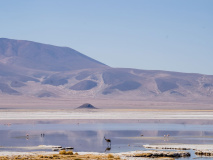 Salar de Huasco